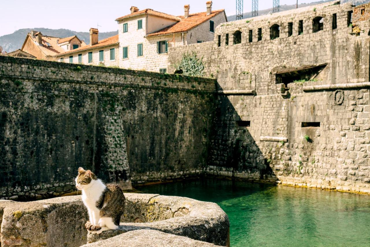 D & Sons Apartments Kotor Exterior photo